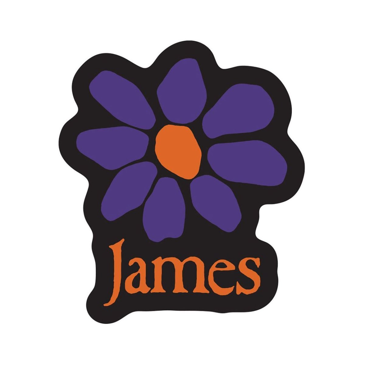 画像1: James ステッカー ジェイムス Purple Daisy (1)