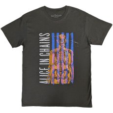 画像1: Alice In Chains バンドTシャツ アリス・イン・チェインズ Skeletal STONE WASH (1)