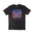 画像1: Aerosmith バンドTシャツ エアロスミス Rainbow Spade (1)