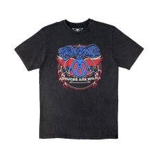 画像1: Aerosmith バンドTシャツ エアロスミス Rainbow Spade (1)