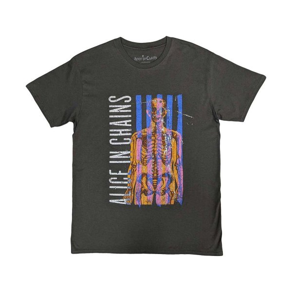 画像1: Alice In Chains バンドTシャツ アリス・イン・チェインズ Skeletal (1)