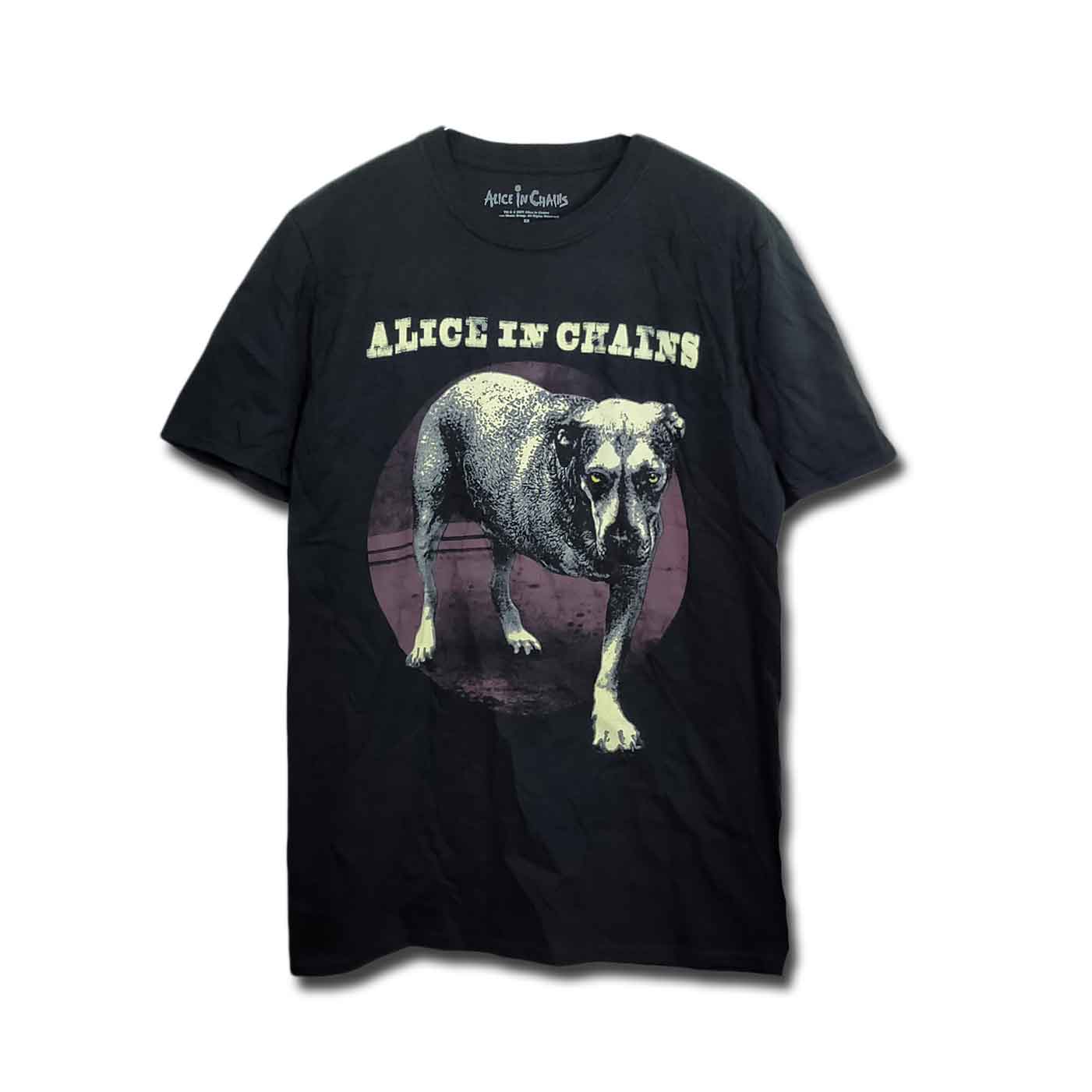 【スマパン】 alice in chains アリチェン Tシャツ XL DIRT ダート セブン